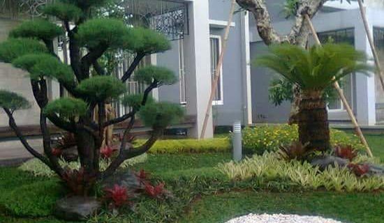 Jasa Tukang Taman Profesional | Dijamin Anda Akan Puas‎