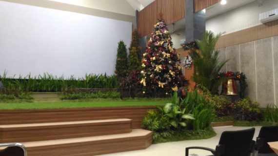 Spesialis Perawatan Taman Pekanbaru