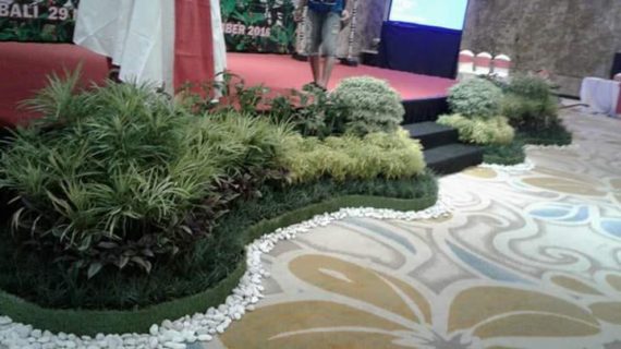 Respon Cepat : 0822-6999-0921 – Tukang Taman Riau | Terpercaya & Bergaransi‎