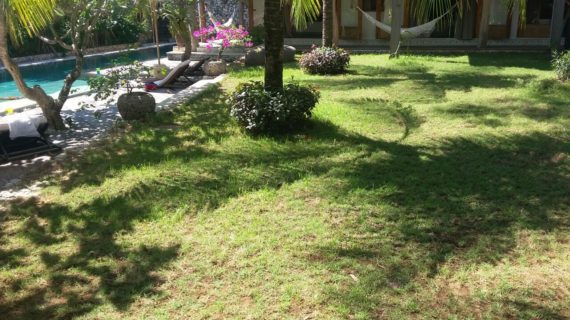 Respon Cepat : 0822-6999-0921 – Ahli Tukang Taman | Pembuat Taman Rumah